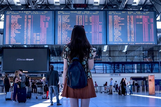 girl looking at flight arrival/departure times