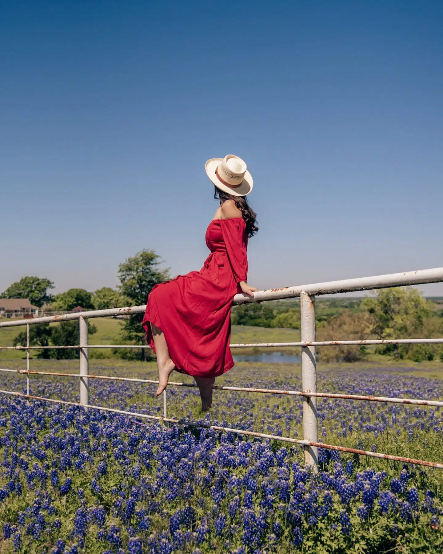 girl on fence in bluebonnets