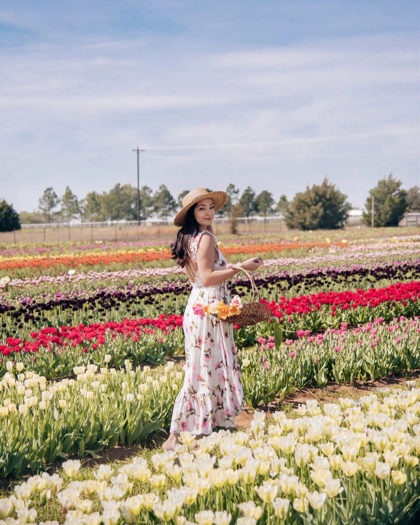 9 Things To Know Before Visiting Texas Tulips In Pilot Point