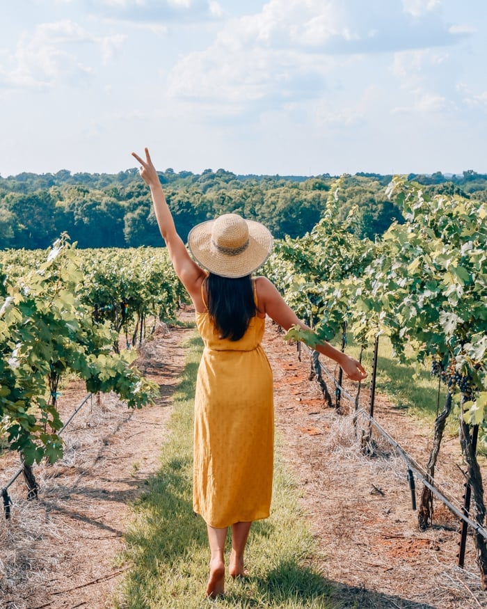 Girl walking through vineyards