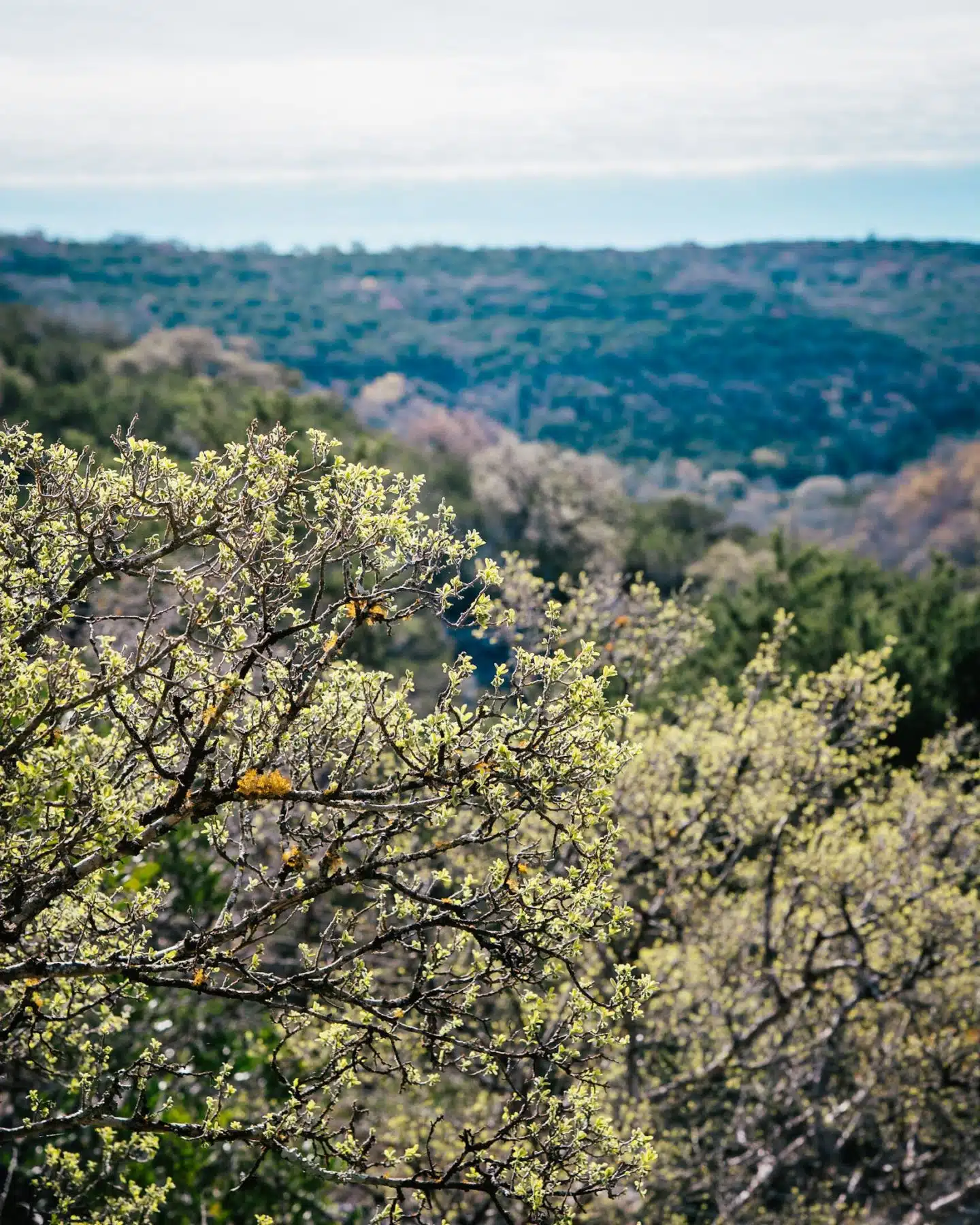 East Texas Craigslist'S Hidden Gems: Discover Them Now! - dazypuh