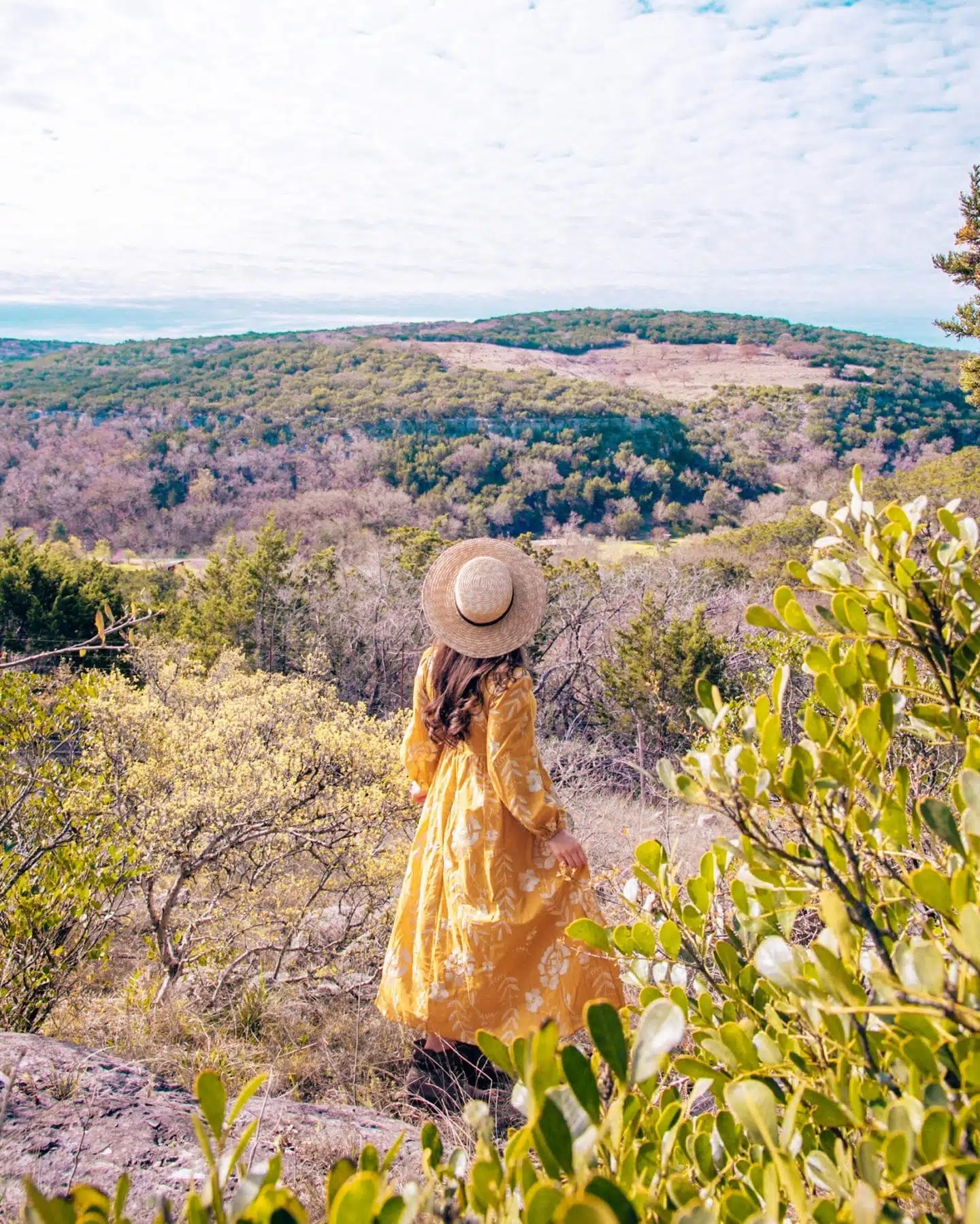 hill country view