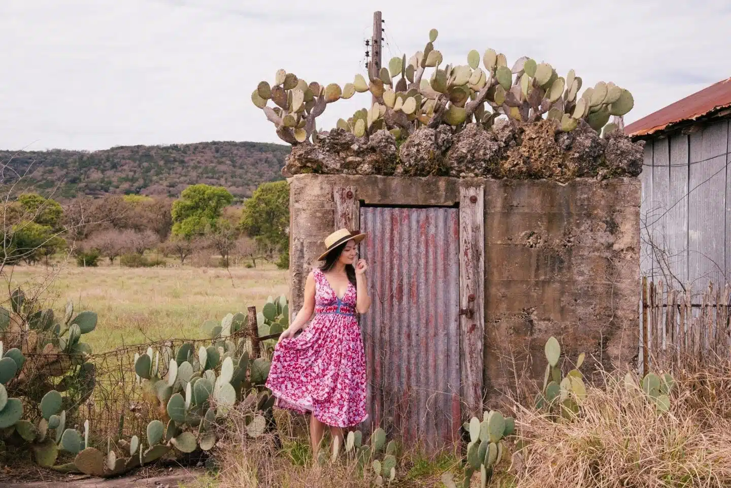 cacti in bandera texas