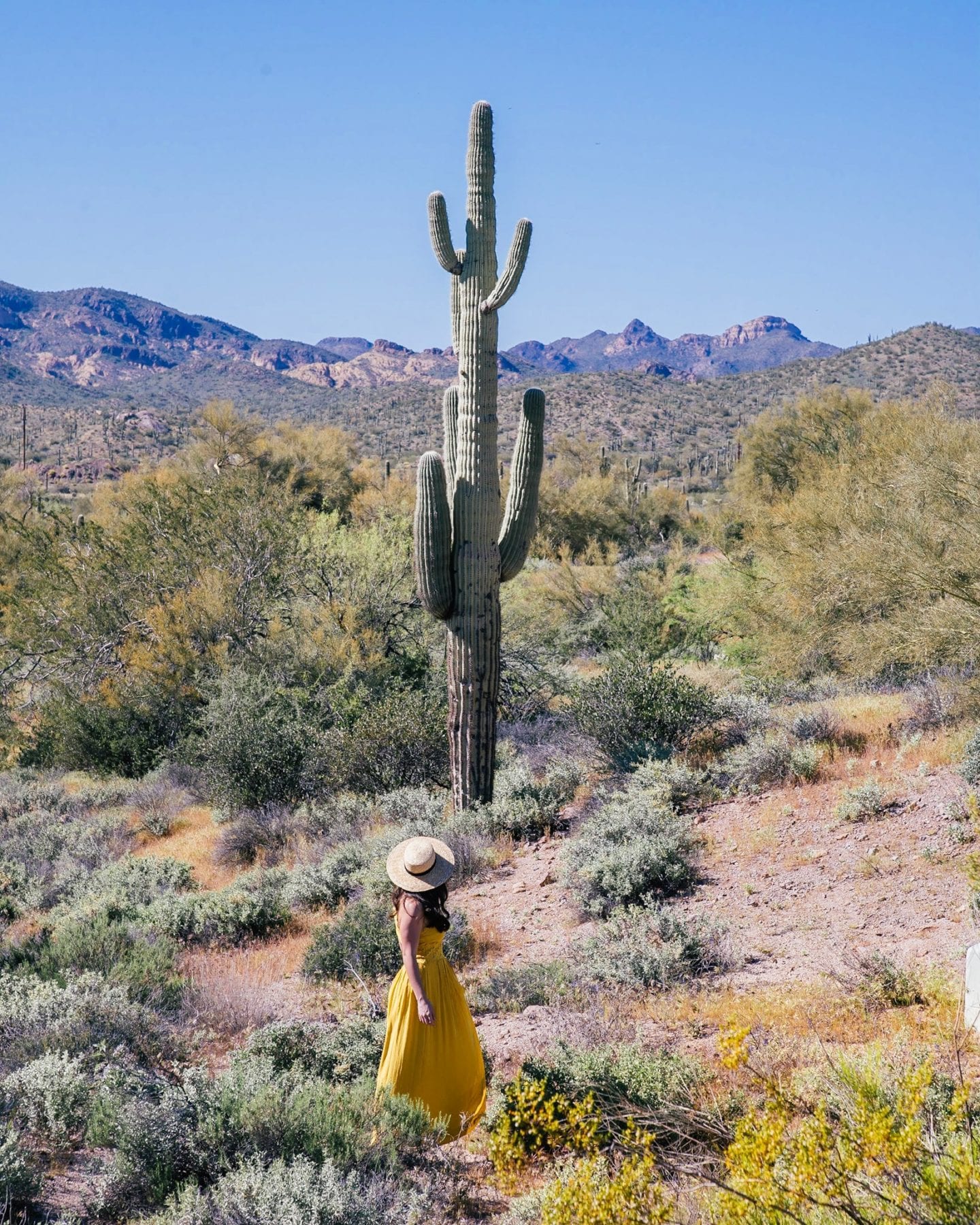 Girl next to cactus at Lost Dutchman State Park