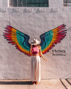 Rainbow Wings Mural San Antonio