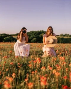 Texas Bluebonnets