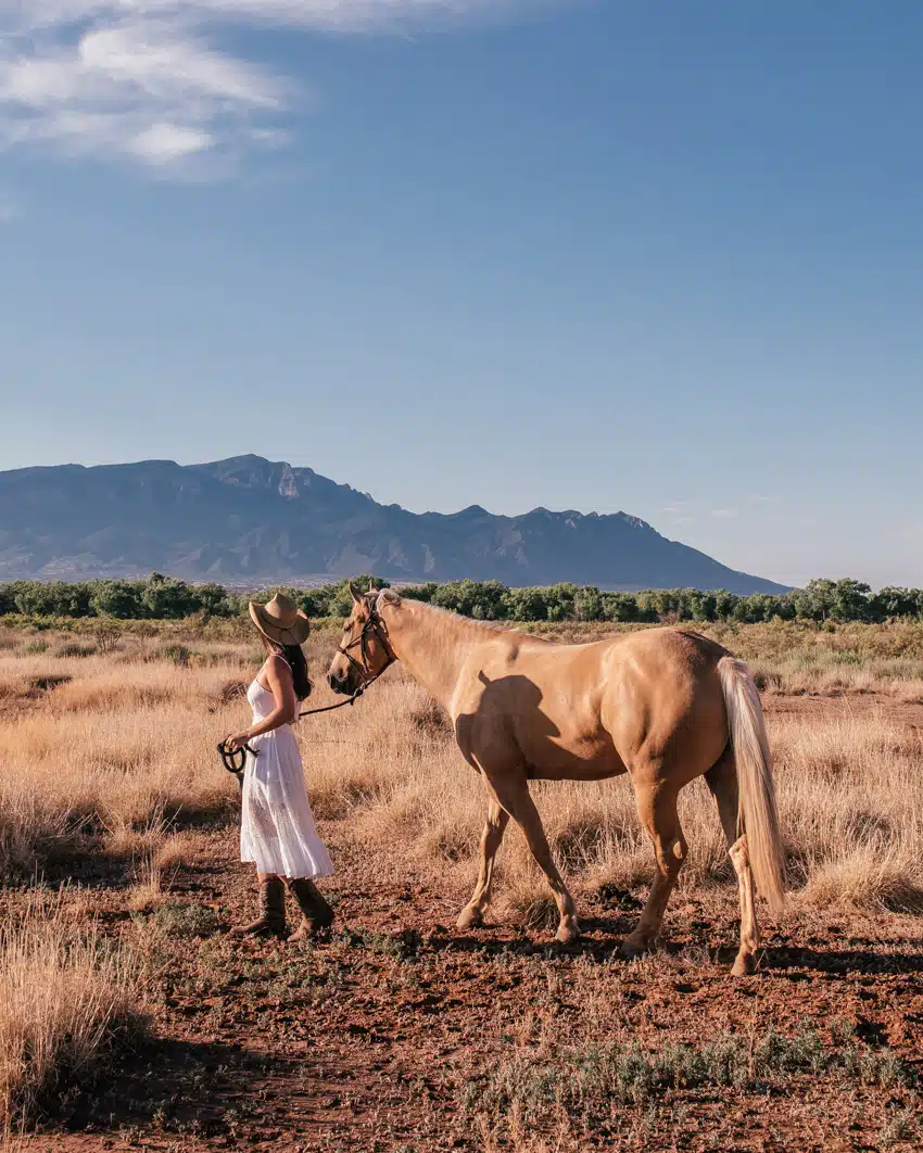 Miss New Mexico Nude