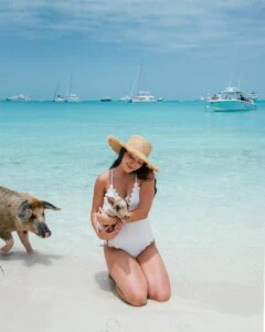 Pig Beach