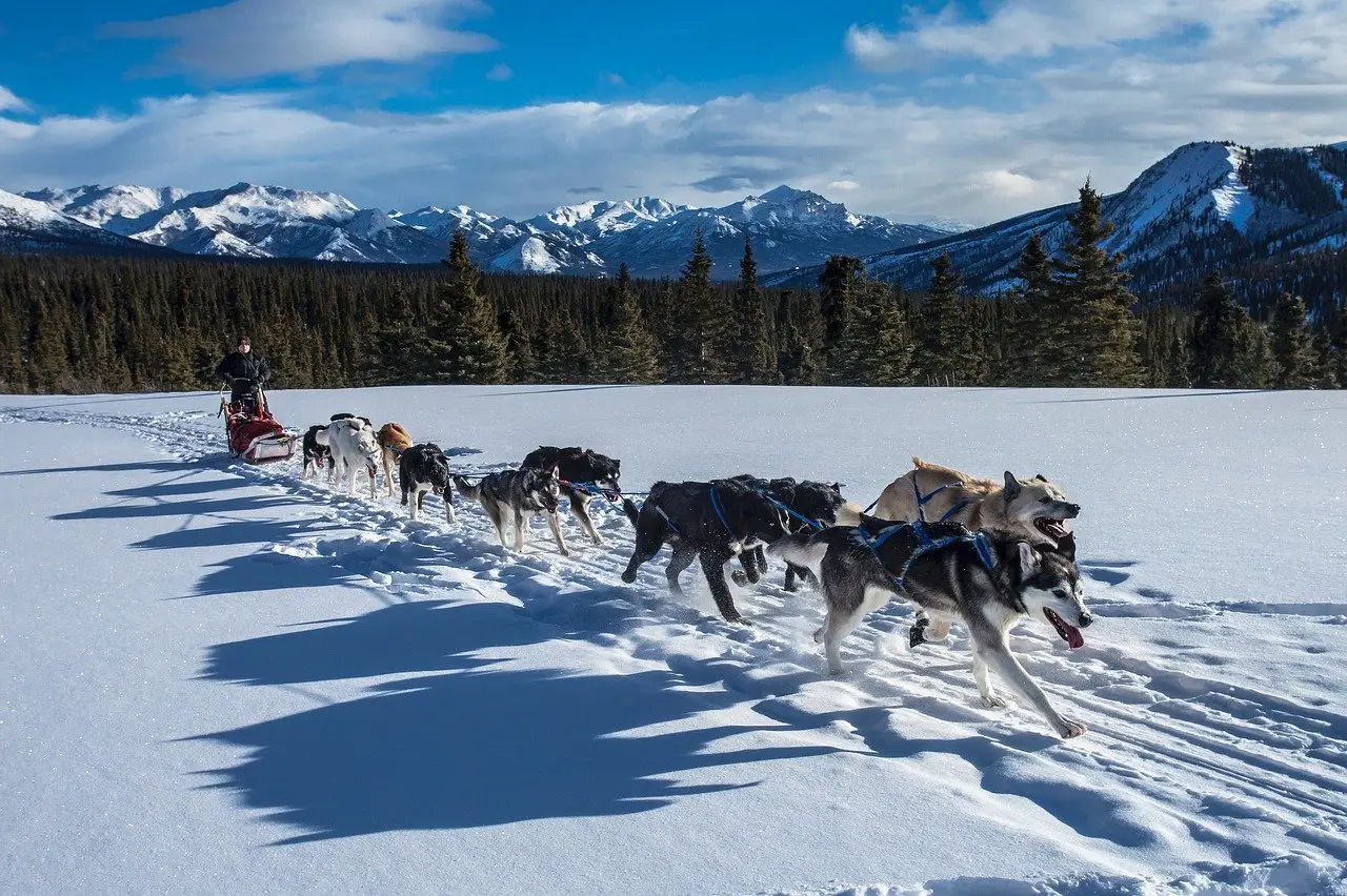 Best Things To Do in Fairbanks, Alaska