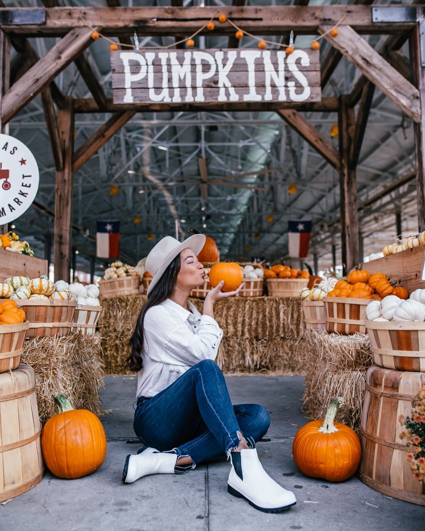 Best Pumpkin Patches And Fall Photo Spots In Dallas In 2021 With A Map
