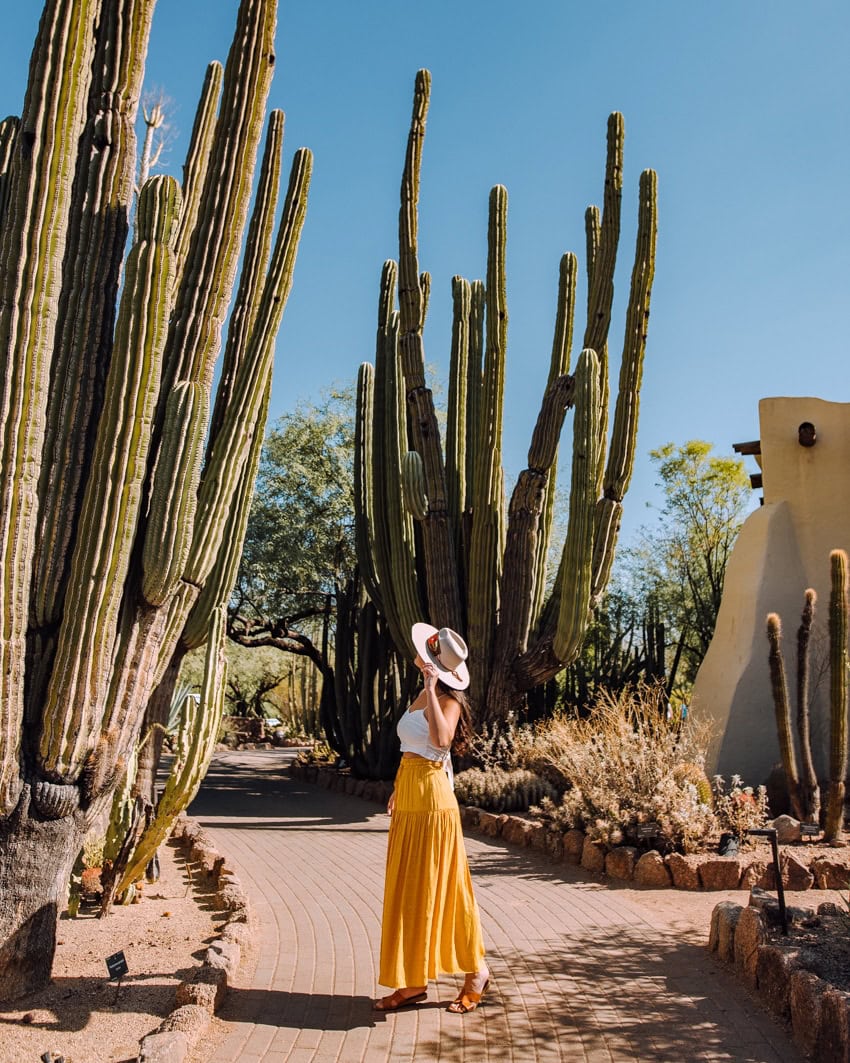 55 Things To Do In Scottsdale Arizona