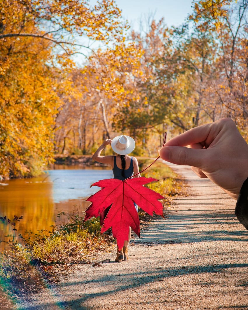 woman posing with autumn leaves in city park, outdoor portrait Stock Photo  - Alamy