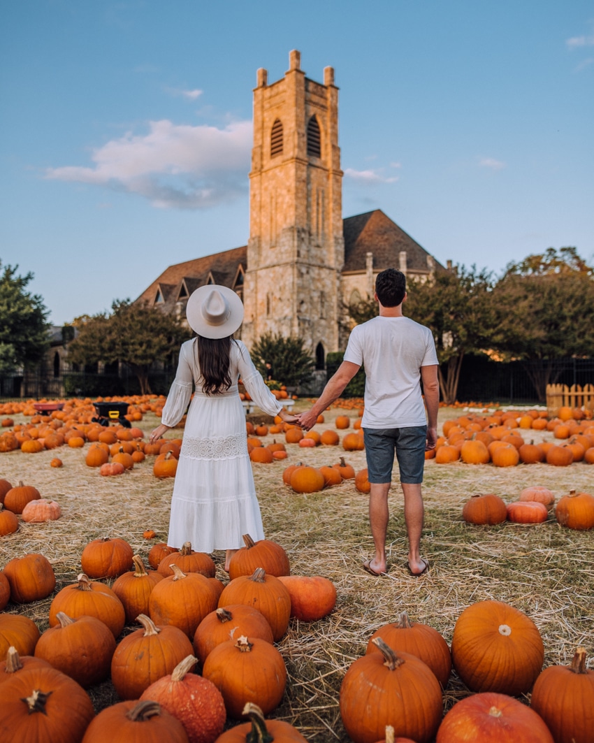 Best Pumpkin Patches And Fall Photo Spots In Dallas In 2021 With A Map