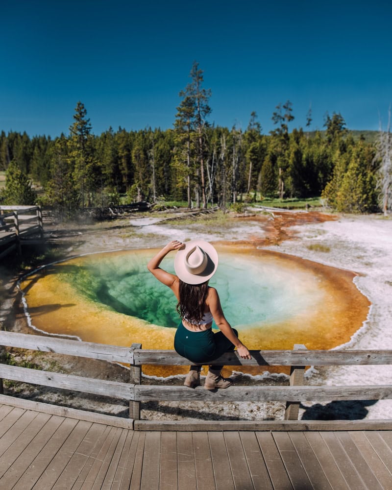 Morning Glory Pool Yellowstone 