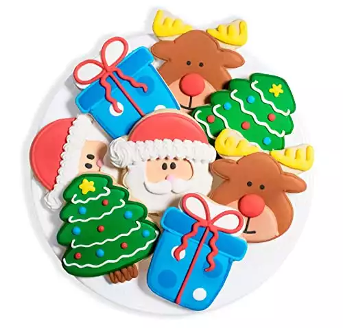 16 Christmas Hand-Decorated Cookies