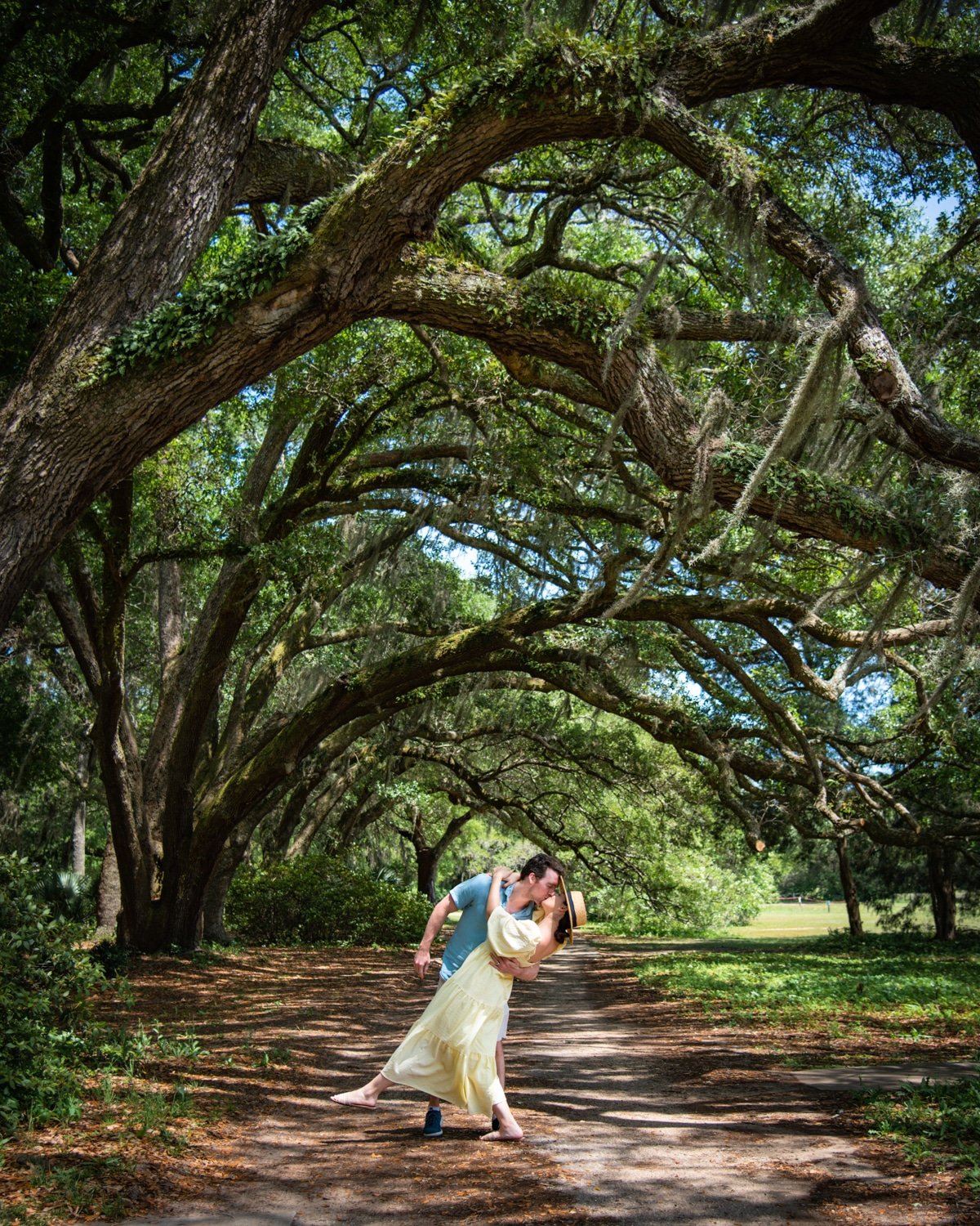 Couple kissing under the oak tree tunnel at the Charleston Tea Garden