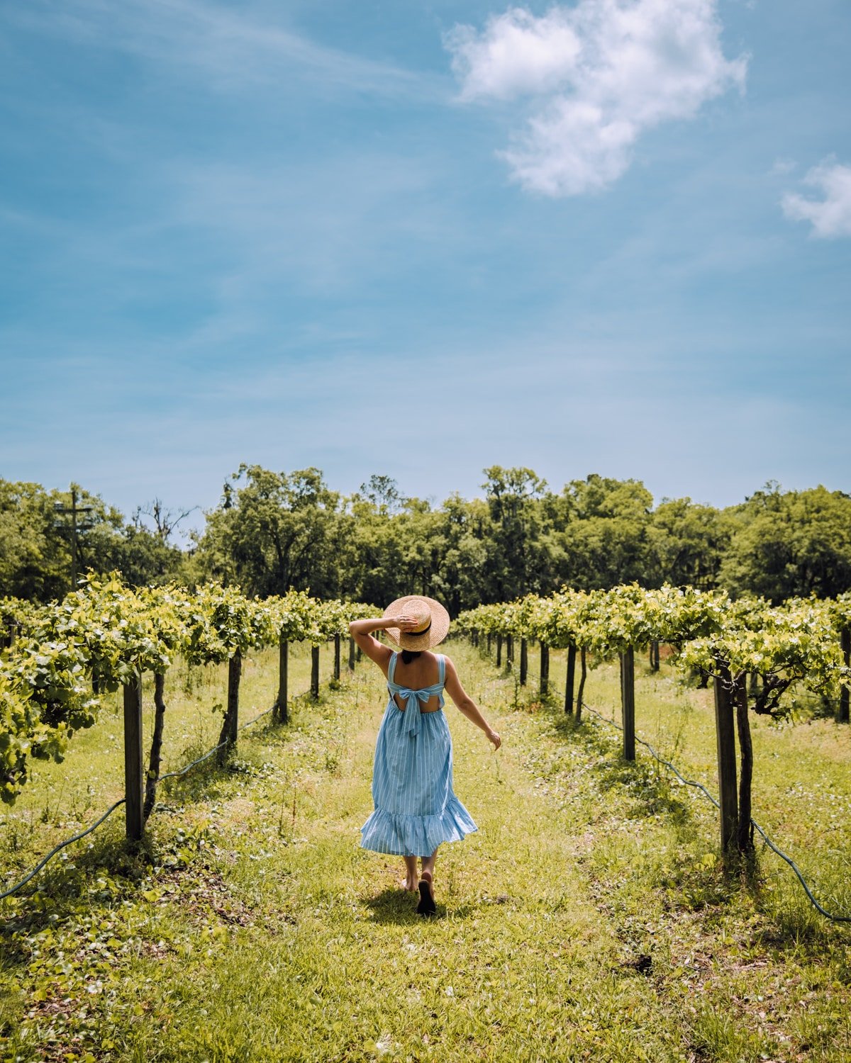 Girl walking through vineyard on Wadmalaw Island