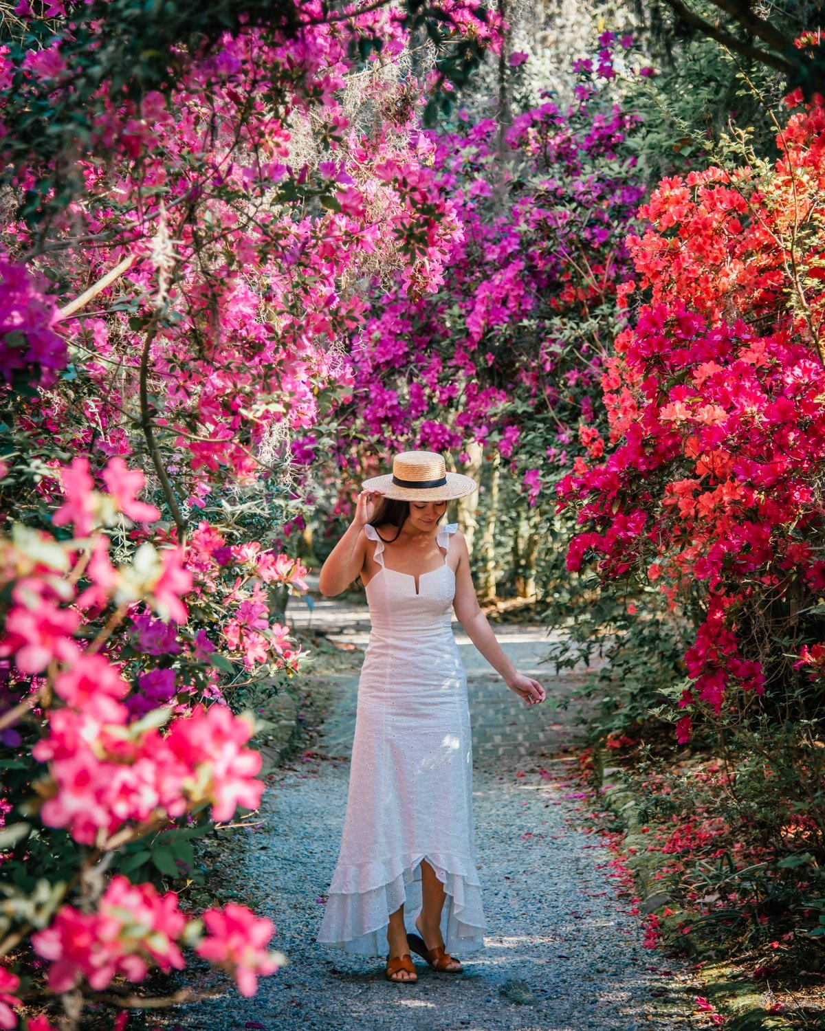 Woman walking through Azaleas at Magnolia Plantation