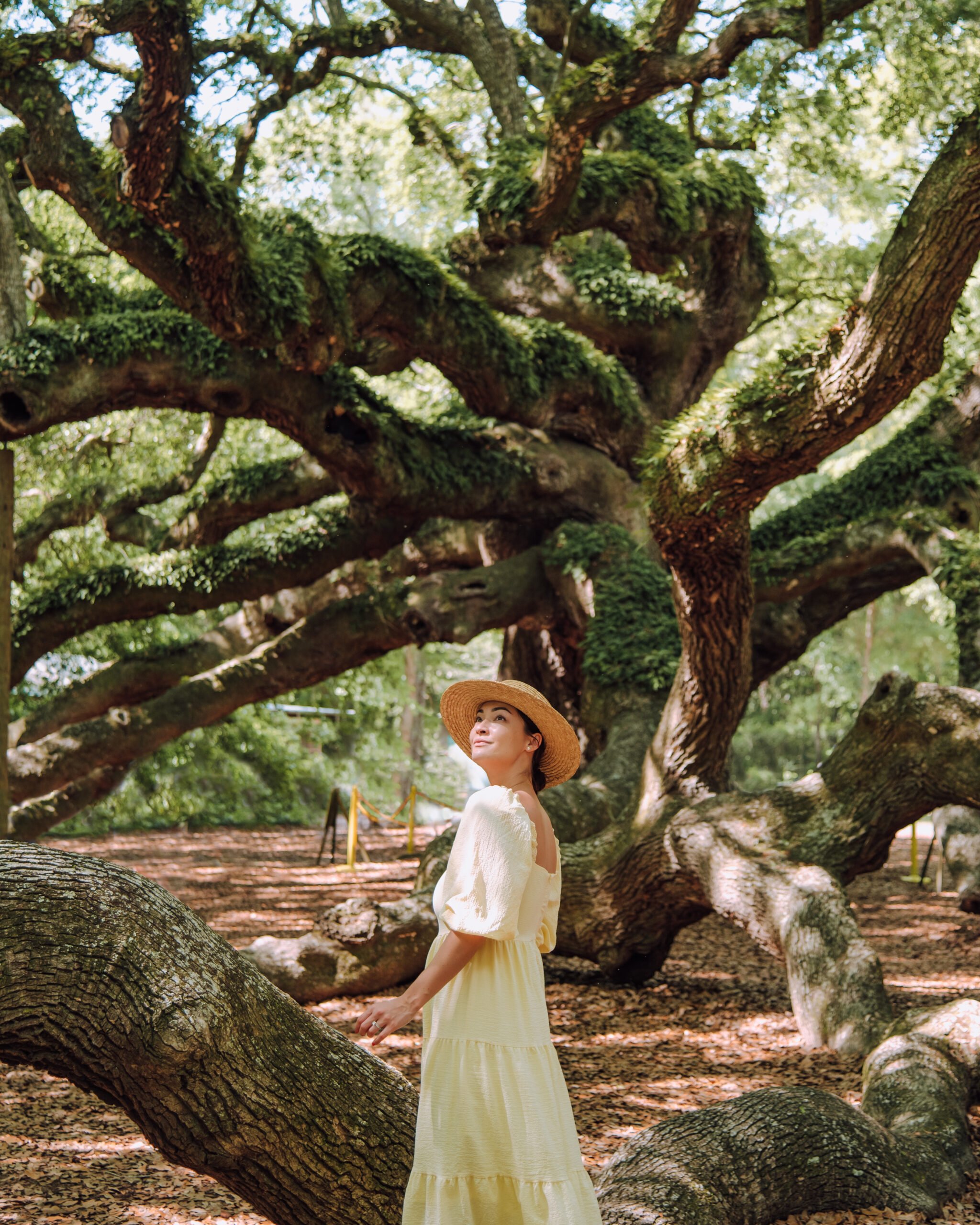 Girl at the Angel Oak Tree in South Carolina