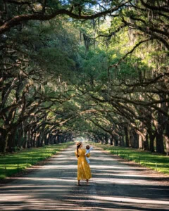 Wormsloe Plantation