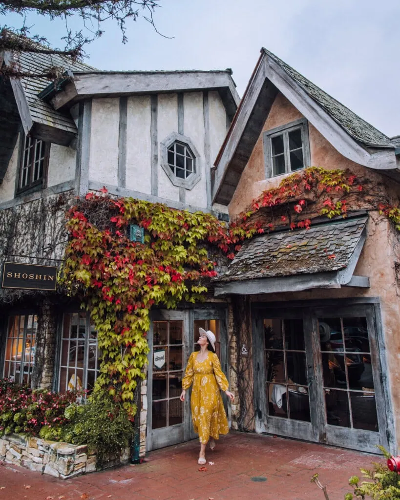 Fall In Carmel By The Sea