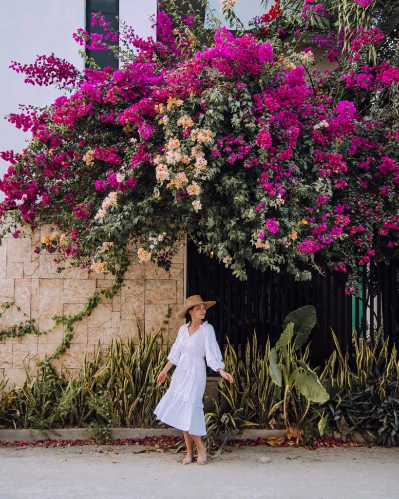 Tulum Blooms