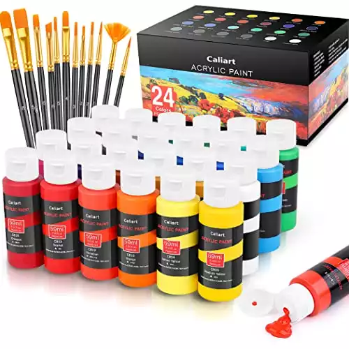 Acrylic Paint Set With 12 Brushes