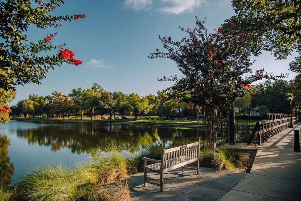 Idyllic Bench At Lakeside Park Dallas