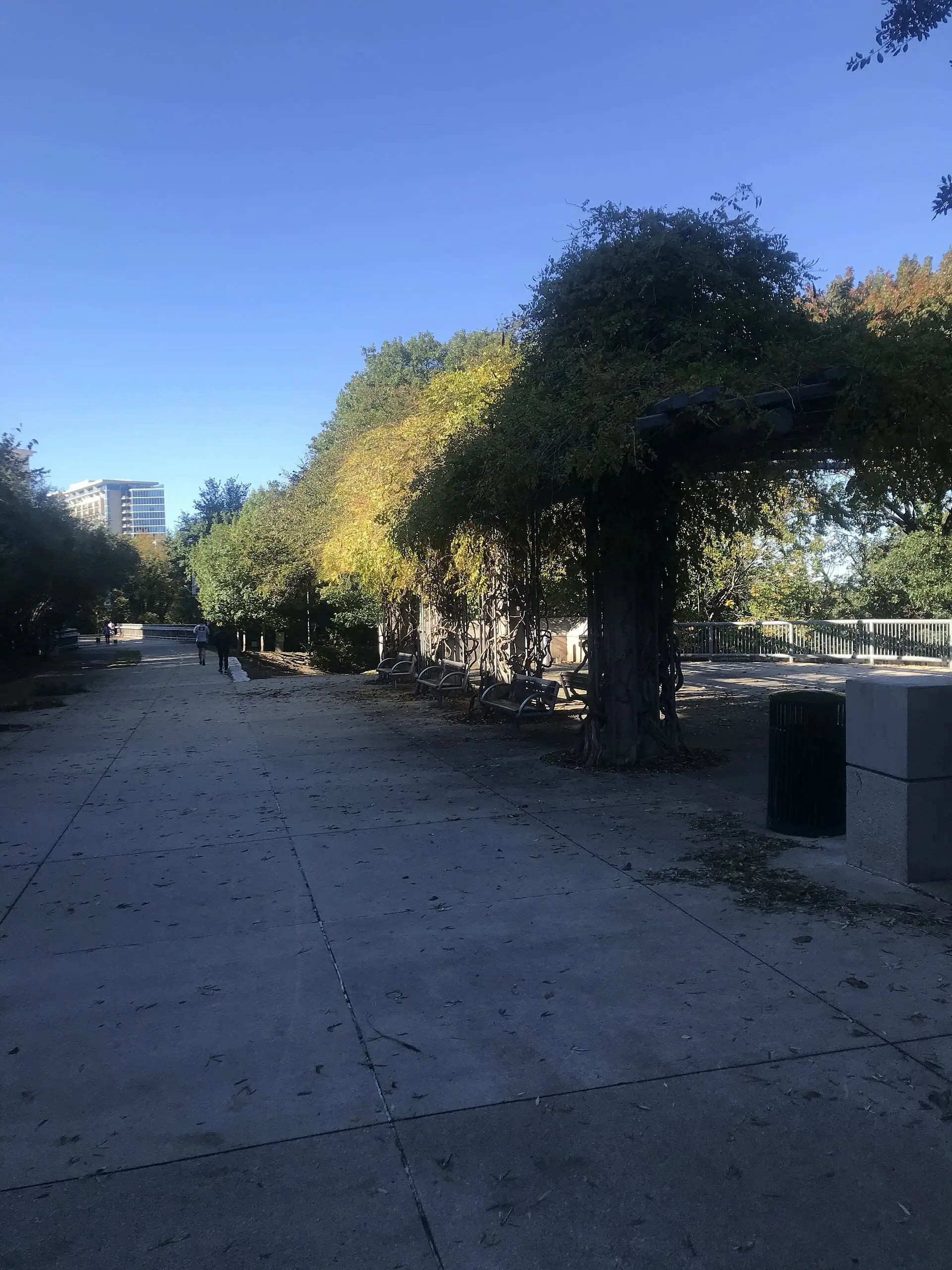 The Katy Trail, a tree-lined paved path in Dallas