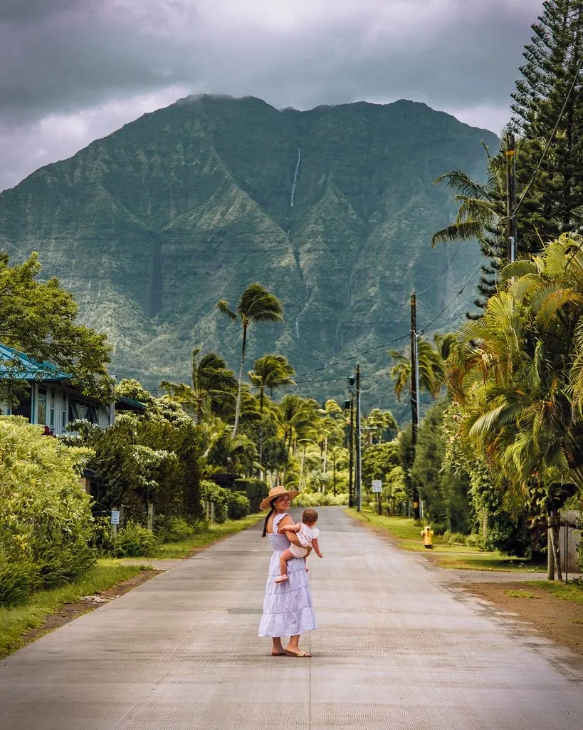 Road In Hanalei Bay With Mountain Backdrop