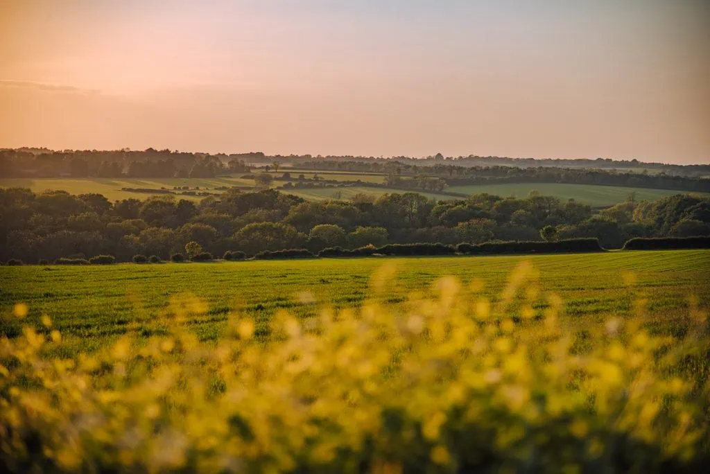 Sunset Scence Driving In The Cotswolds